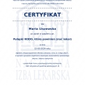 Powiększ obraz: certificate 16