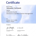 Powiększ obraz: certificate 11