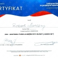 Powiększ obraz: certificate 11