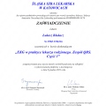 Powiększ obraz: certificate 79