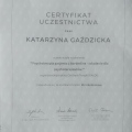 Powiększ obraz: certificate 19
