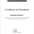 Powiększ obraz: certificate 30