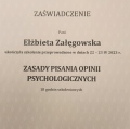 Powiększ obraz: certificate 1