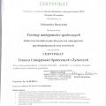 Powiększ obraz: certificate 2