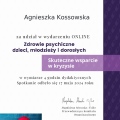 Powiększ obraz: certificate 8