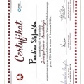 Powiększ obraz: certificate 11