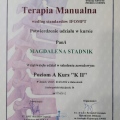 Powiększ obraz: certificate 11