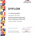Powiększ obraz: certificate 2