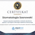 Powiększ obraz: certificate 5
