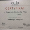 Powiększ obraz: certificate 8