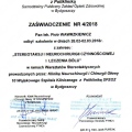 Powiększ obraz: certificate 1