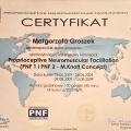 Powiększ obraz: certificate 8