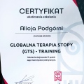 Powiększ obraz: certificate 1