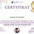 Powiększ obraz: certificate 11