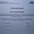 Powiększ obraz: certificate 9