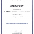 Powiększ obraz: certificate 6