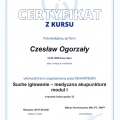 Powiększ obraz: certificate 4