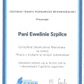 Powiększ obraz: certificate 3
