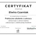 Powiększ obraz: certificate 1