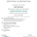 Powiększ obraz: certificate 6