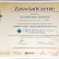 Powiększ obraz: certificate 9