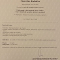 Powiększ obraz: certificate 4