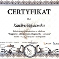 Powiększ obraz: certificate 5