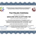 Powiększ obraz: certificate 3
