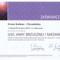 Powiększ obraz: certificate 4