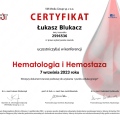 Powiększ obraz: certificate 380
