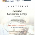 Powiększ obraz: certificate 34