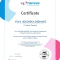 Powiększ obraz: certificate 4
