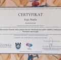 Powiększ obraz: certificate 2