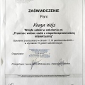 Powiększ obraz: certificate 3