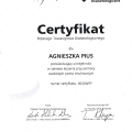 Powiększ obraz: certificate 9