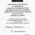 Powiększ obraz: certificate 19