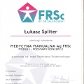 Powiększ obraz: certificate 6
