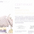 Powiększ obraz: certificate 11