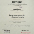 Powiększ obraz: certificate 16