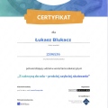 Powiększ obraz: certificate 151