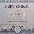 Powiększ obraz: certificate 2