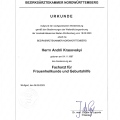 Powiększ obraz: certificate 10