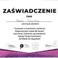 Powiększ obraz: certificate 3