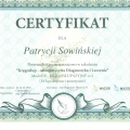 Powiększ obraz: certificate 8