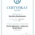 Powiększ obraz: certificate 7