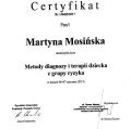 Powiększ obraz: certificate 13