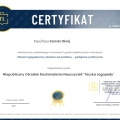 Powiększ obraz: certificate 6