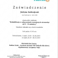 Powiększ obraz: certificate 12