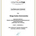 Powiększ obraz: certificate 2