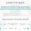 Powiększ obraz: certificate 18